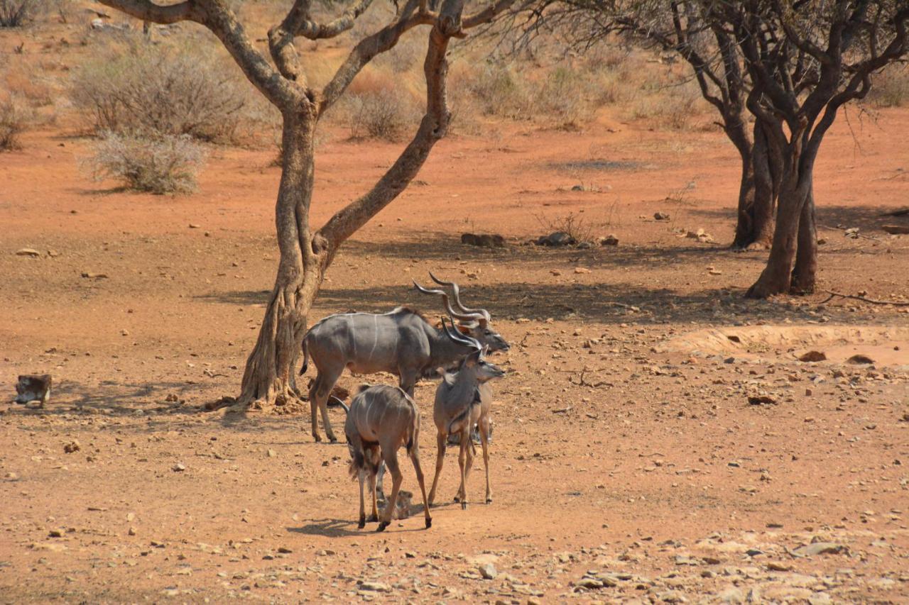 Вілла Gabus Game Ranch Otavi Екстер'єр фото