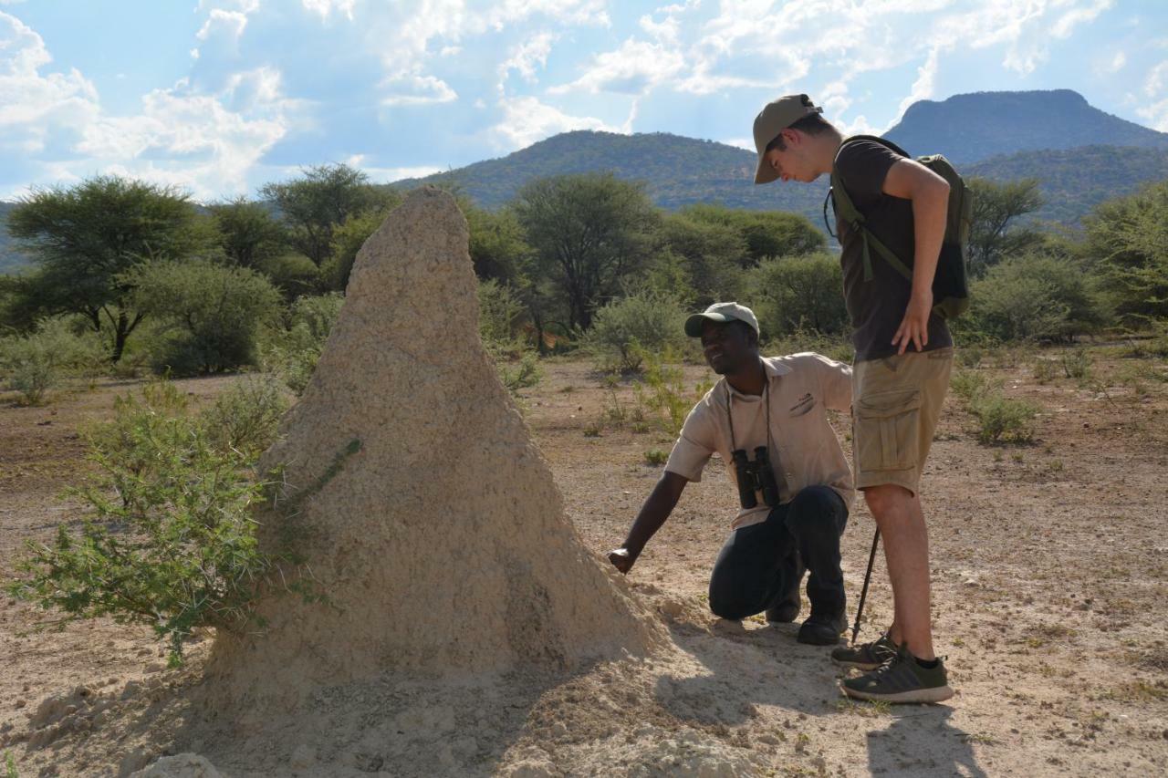 Вілла Gabus Game Ranch Otavi Екстер'єр фото